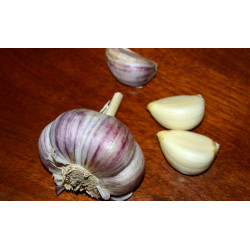 Victorian Organic Garlic...