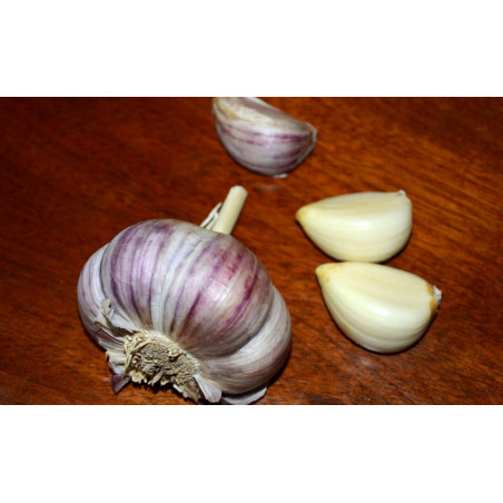 Victorian Organic Garlic (new season)