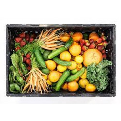 Queen Vic Market -Fruit and vegetable crate - jumbo