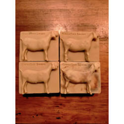 Goats Milk Soap (Lemon Myrtle)