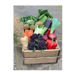 Queen Vic Market-vegetable ONLY - medium