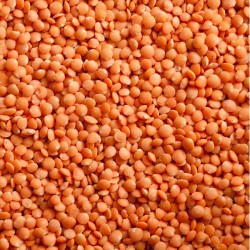 Whole  Red Lentils