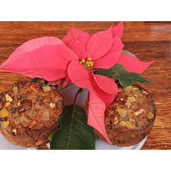 Christmas Cake-Made in...