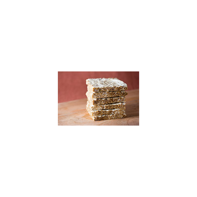 Frozen Organic tempeh