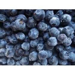 Frozen Australian Blueberries