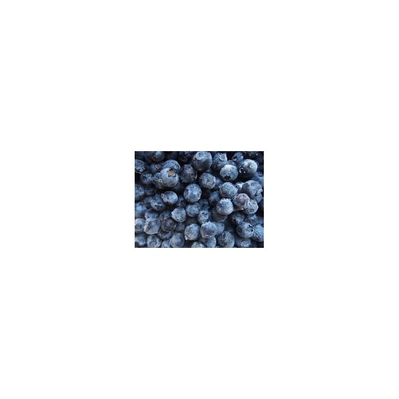 Frozen Australian Blueberries