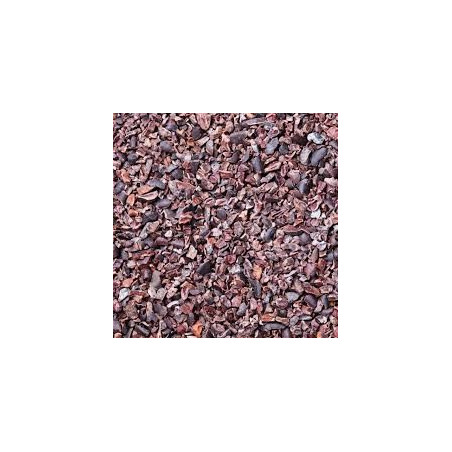 Organic Cacao Nibs
