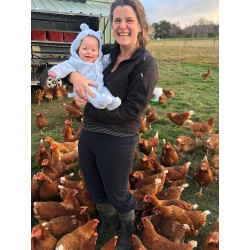 3 Bears Farm Regular Eggs