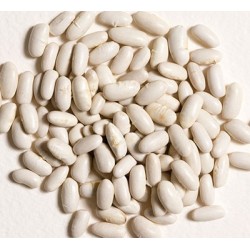 Dried cannellini beans
