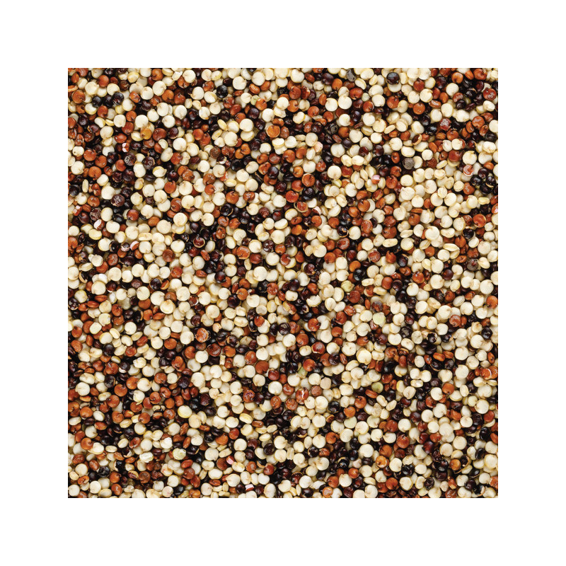 Organic tri coloured  quinoa