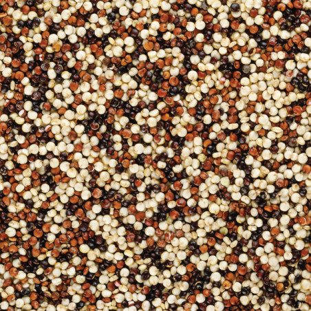 Organic tri coloured  quinoa