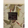 Botanical Hand and Body Wash