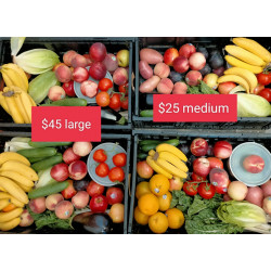 Queen Vic Market -Fruit and vegetable crate - extra small