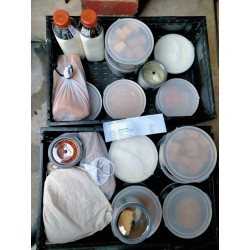 Queen Vic Market -Fruit and vegetable crate - extra small