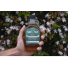 Organic Maple Syrup
