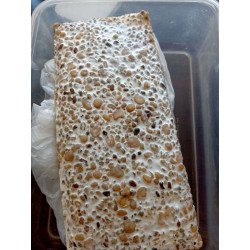 Tempeh-five grain (frozen)