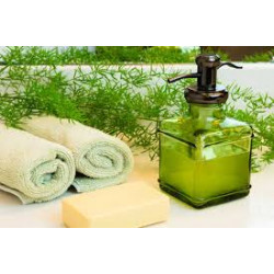 Organic Castile Hand and Body Soap