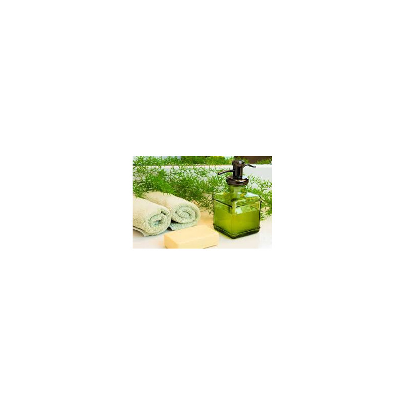 Organic Castile Hand and Body Soap