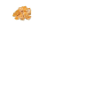 Apricot coconut slice