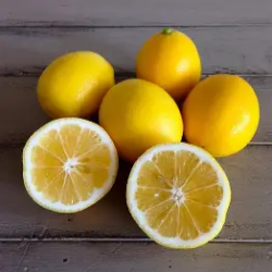 Organic Meyer lemons