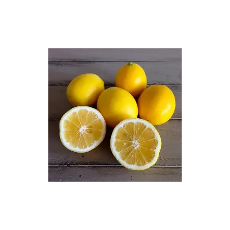 Organic Meyer lemons