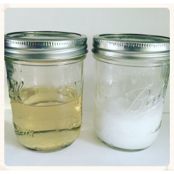 Coconut/Sage Conditioner
