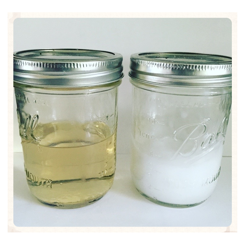 Coconut/Sage Conditioner