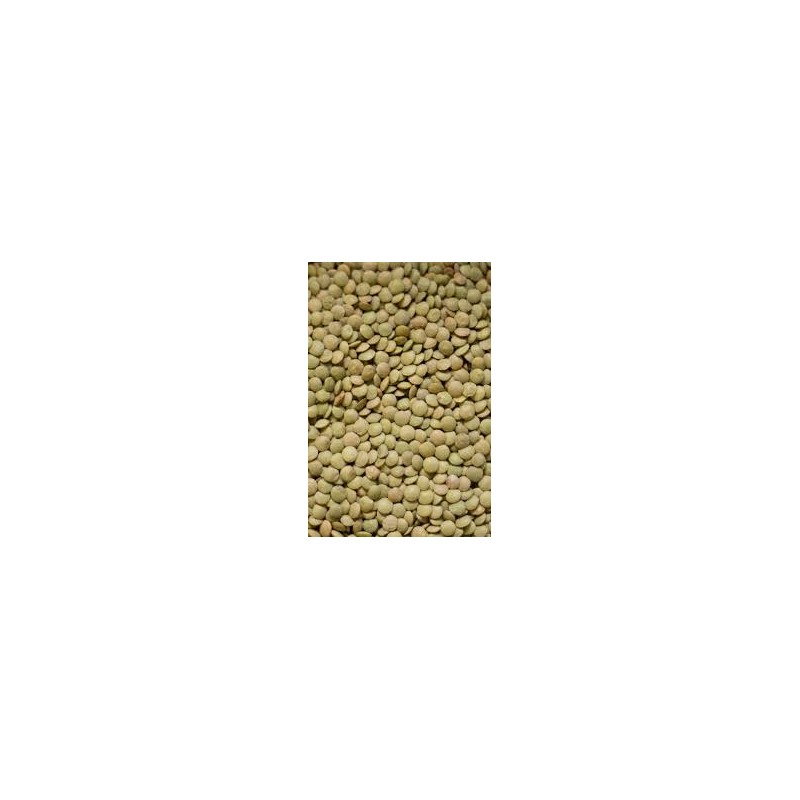 Green Lentils