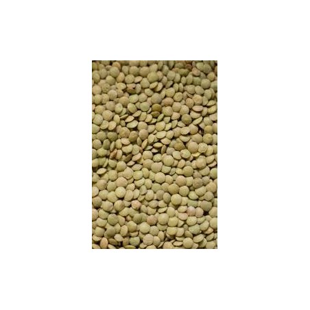 Green Lentils