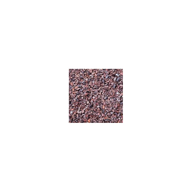 Organic Cacao Nibs