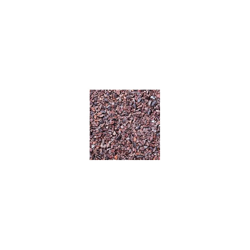 Organic Cacao Nibs