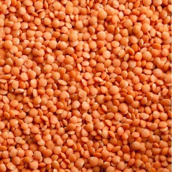 Split Red Lentils