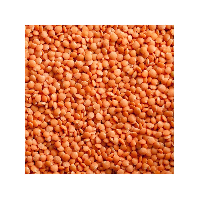 Split Red Lentils